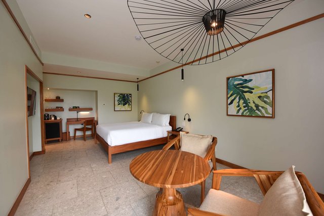 Rainforest Room (King Bed) - Adults Only