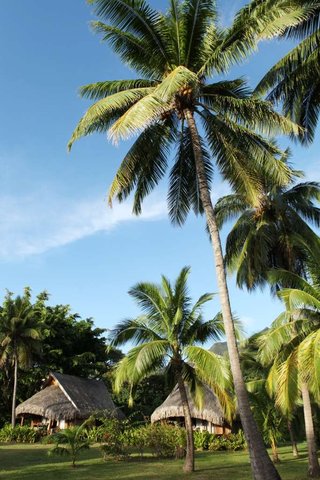 The Garden Bungalow