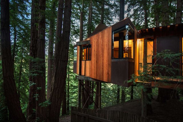 Tree House